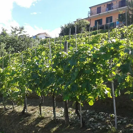 Antica Casa Rurale Indipendente Completamente Ristrutturata *